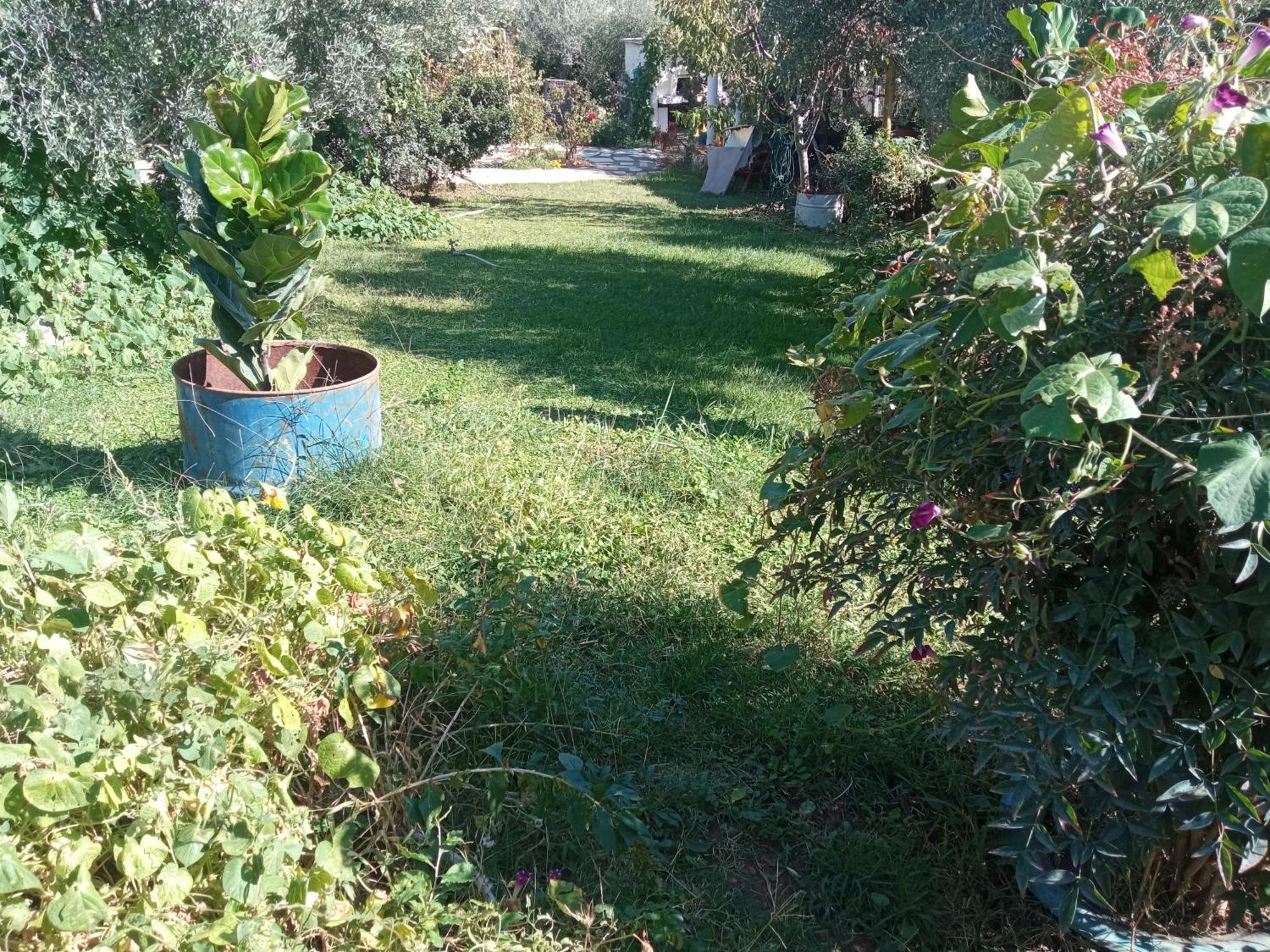 Apartamento Bella-Caza Mákri Exterior foto